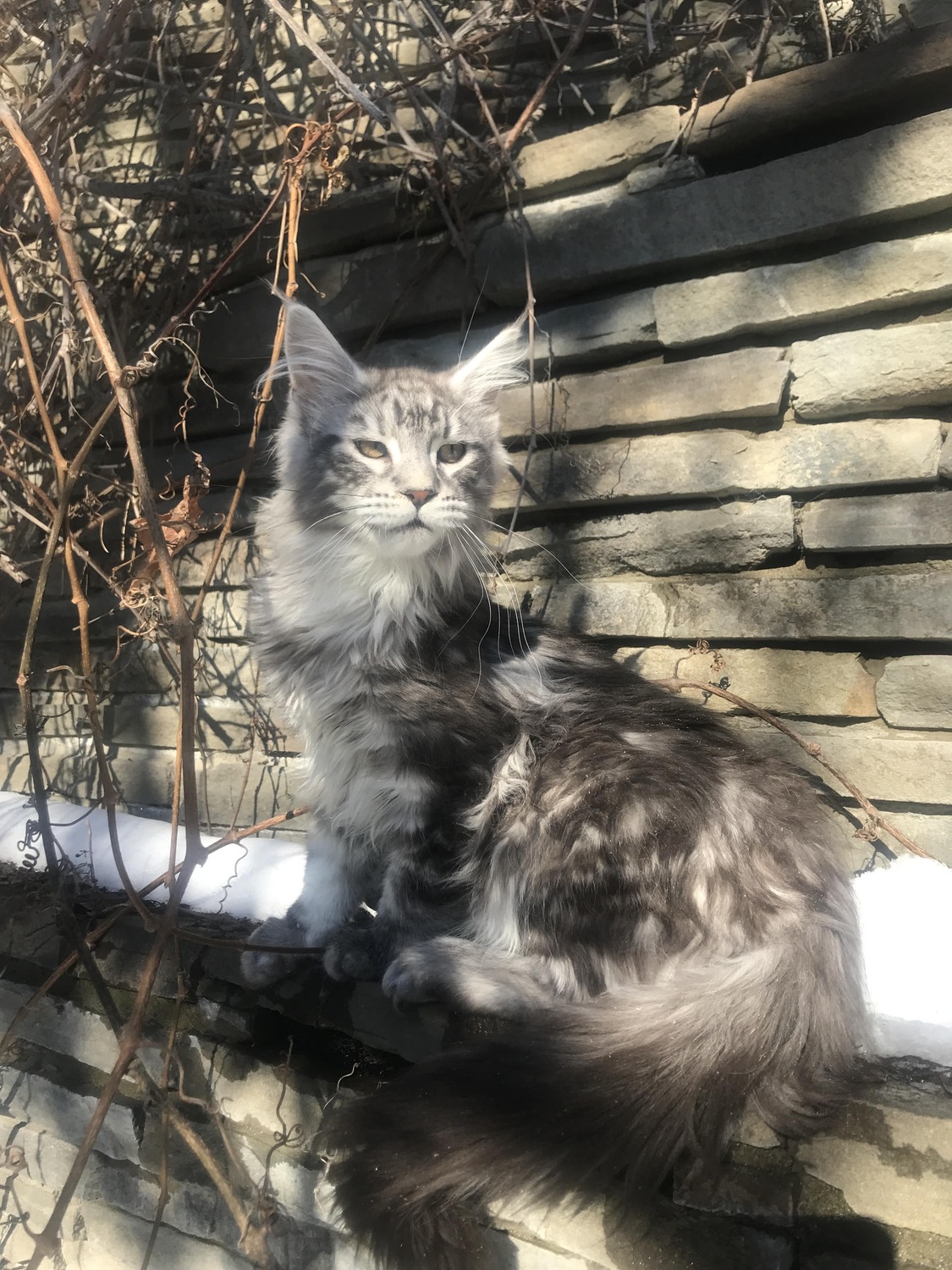 Более 120 выпускников. Стали любимыми членами вашей семьи More than 120 graduates. Become beloved members of your family